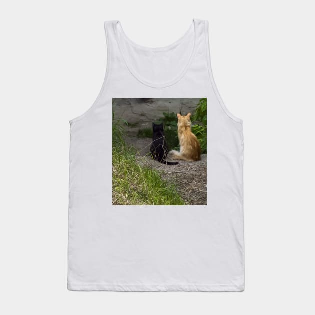 Ginger and black cats sit side by side in the grass and look from the stairs. View from the back Tank Top by EvgeniiV